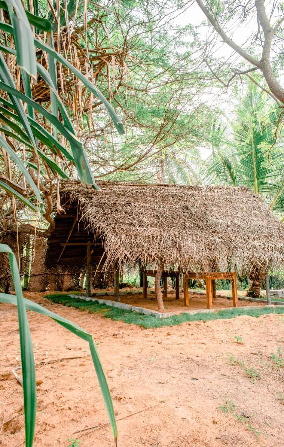 Sarada Beach Resort Yala Tissamaharama Buitenkant foto