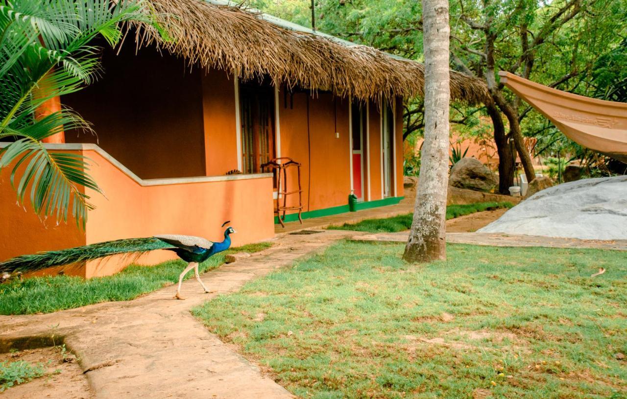 Sarada Beach Resort Yala Tissamaharama Buitenkant foto