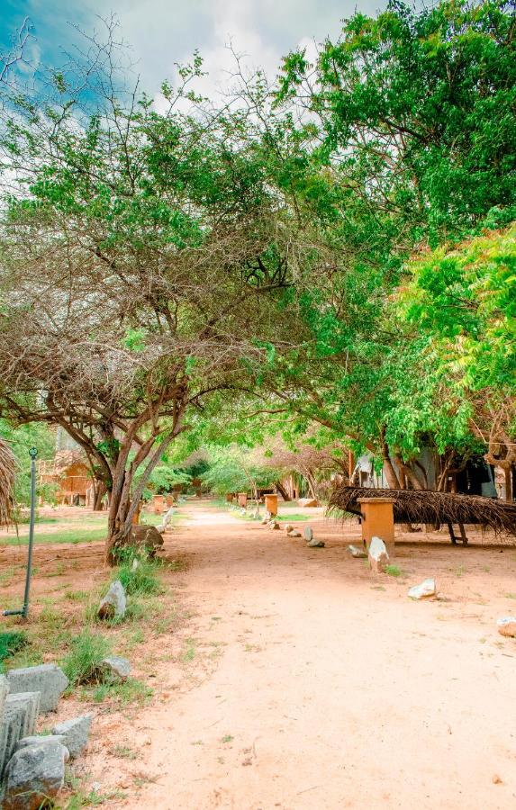 Sarada Beach Resort Yala Tissamaharama Buitenkant foto