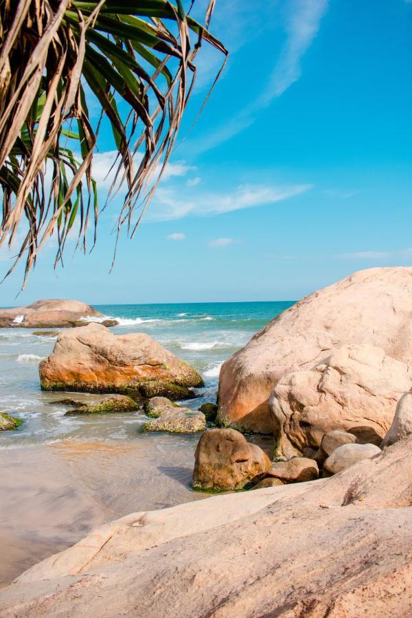 Sarada Beach Resort Yala Tissamaharama Buitenkant foto