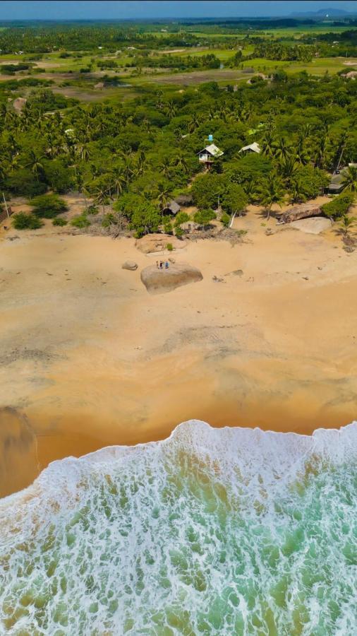 Sarada Beach Resort Yala Tissamaharama Buitenkant foto
